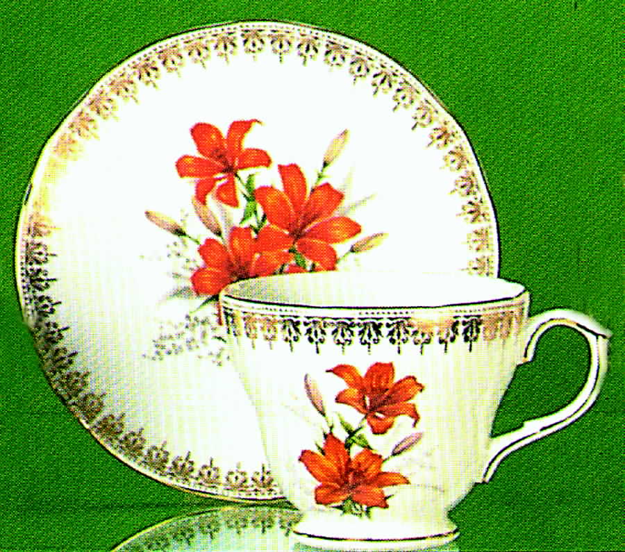 Summertime Footed Cup & Saucer Set by Duchess-1