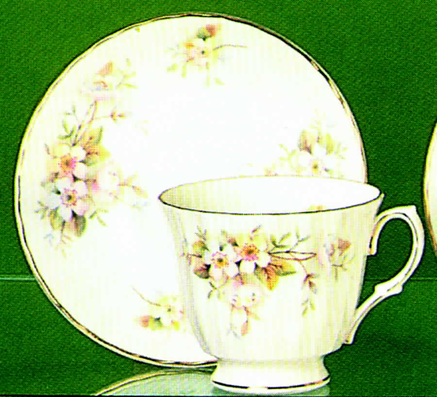 Petite Pastels Footed Cup & Saucer Set by Duchess-1