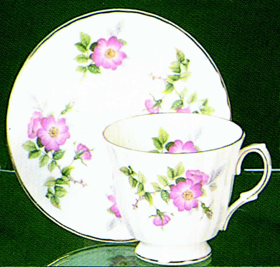 Wayside Footed Cup & Saucer Set by Duchess-1