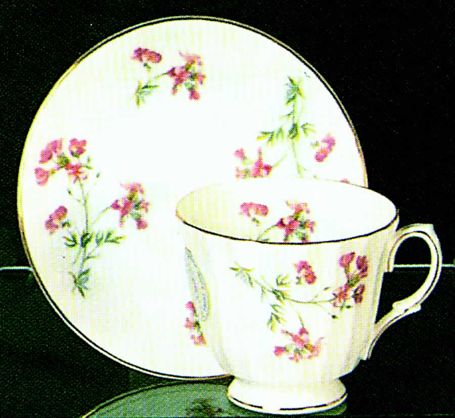 Wayside Footed Cup & Saucer Set by Duchess-1