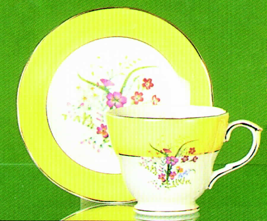 Kensingtons Gardens Footed Cup & Saucer Set by Duchess-1