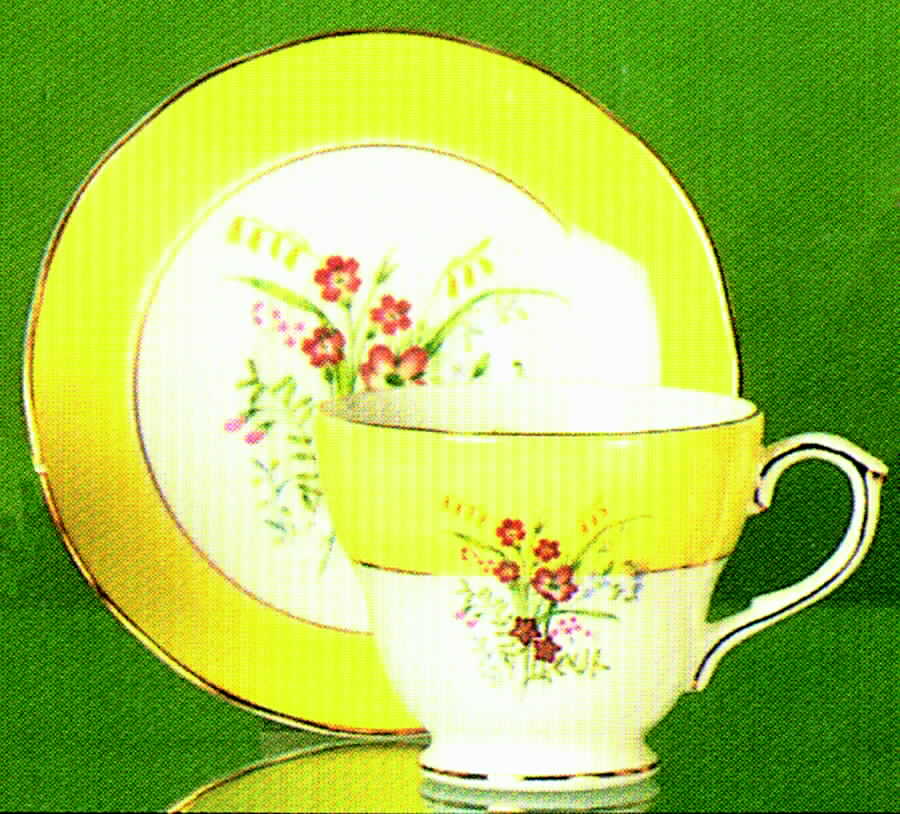 Kensingtons Gardens Footed Cup & Saucer Set by Duchess-1