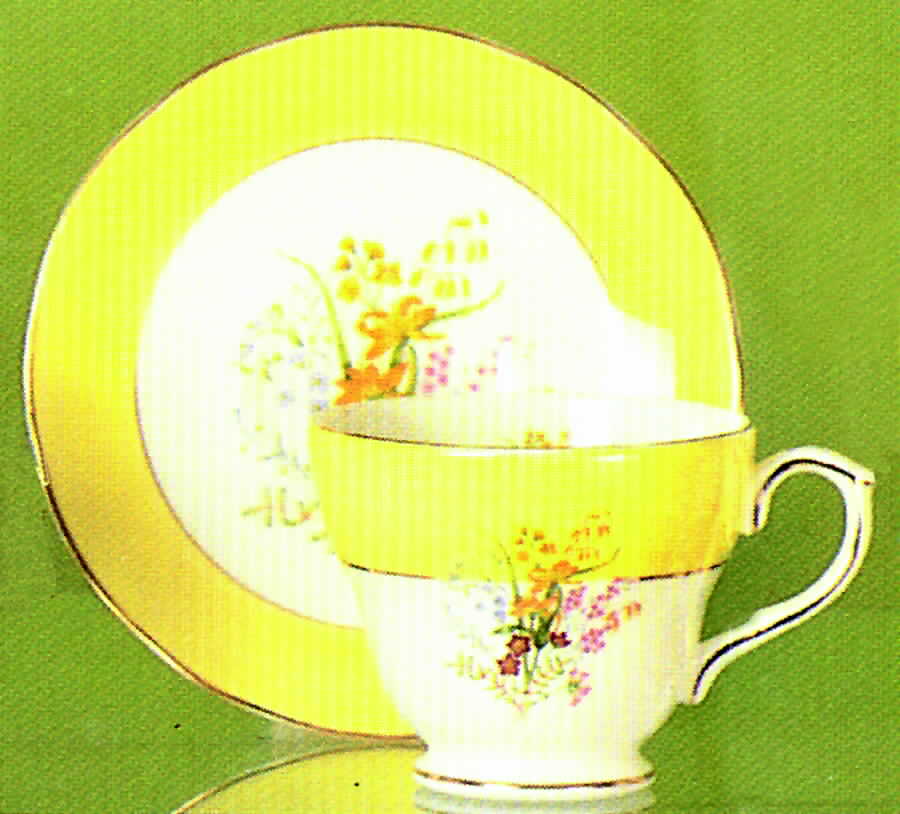 Kensingtons Gardens Footed Cup & Saucer Set by Duchess-1