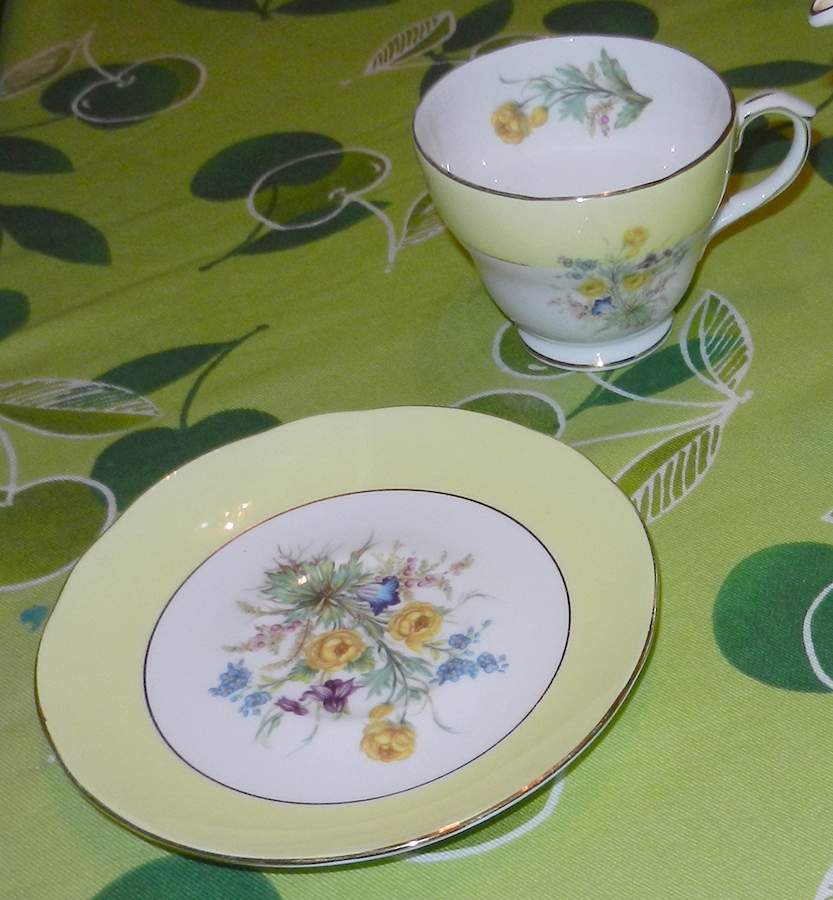Kensingtons Gardens Footed Cup & Saucer Set by Duchess-1