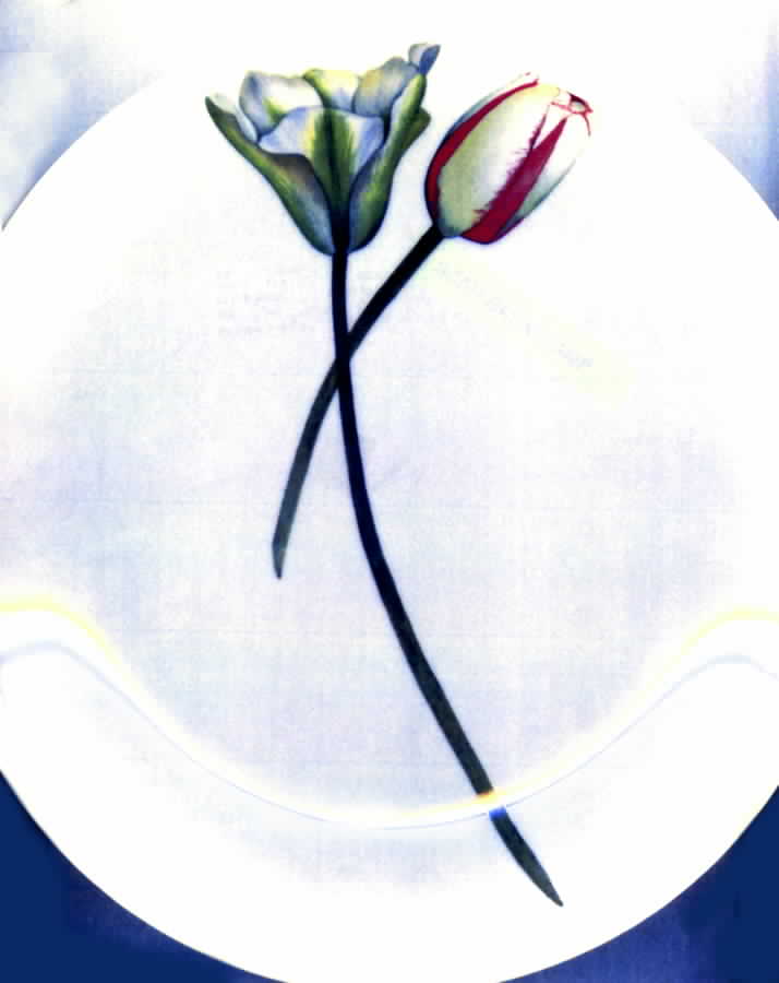 The White Snow Floral Dinner Plate by Driade Kosmos-1