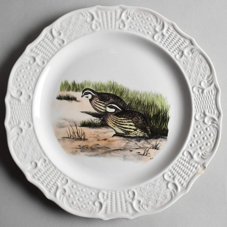 Birds of America (Scroll Rim) Dinner Plate by Delano Studios-1