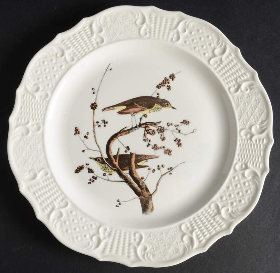 Birds of America (Scroll Rim) Dinner Plate by Delano Studios-1