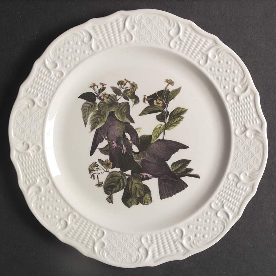 Birds of America (Scroll Rim) Dinner Plate by Delano Studios-1
