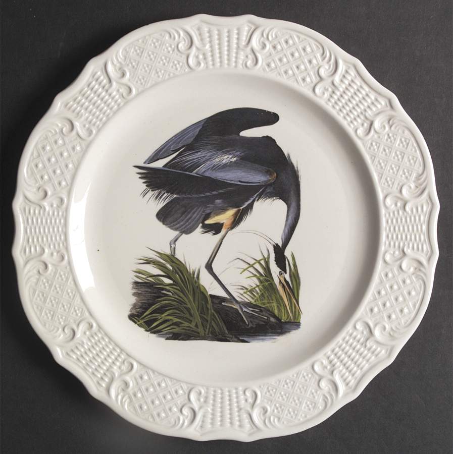 Birds of America (Scroll Rim) Dinner Plate by Delano Studios-1