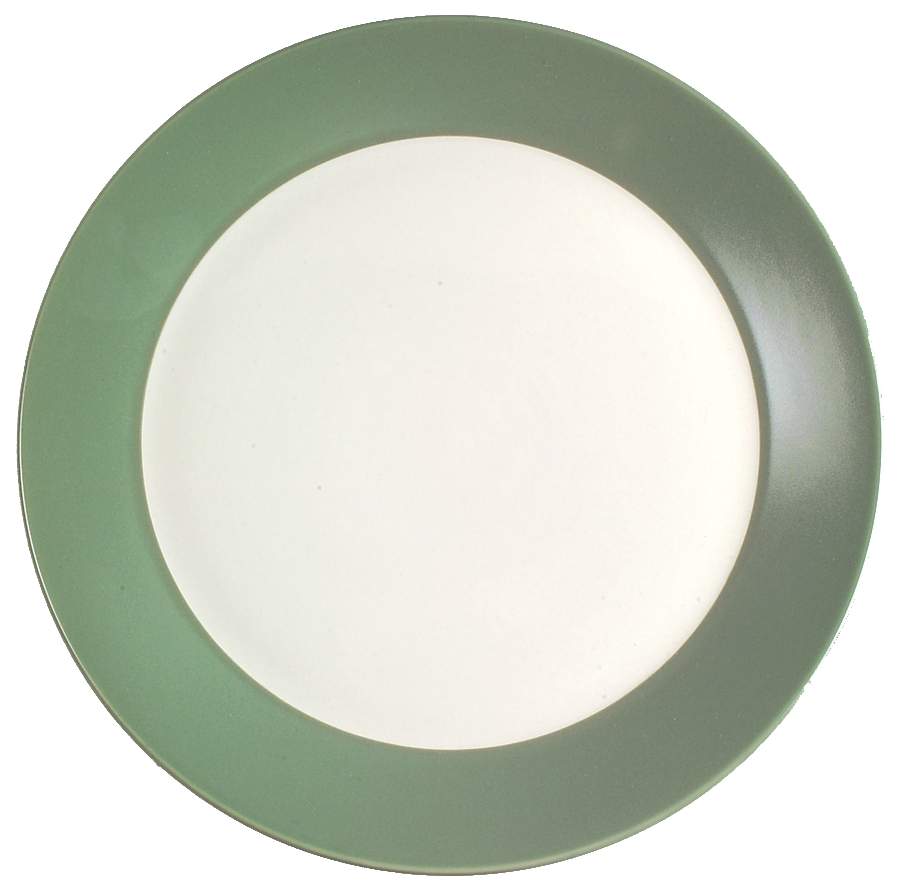 Ang.L Fern (Green) Dinner Plate by Dansk-1