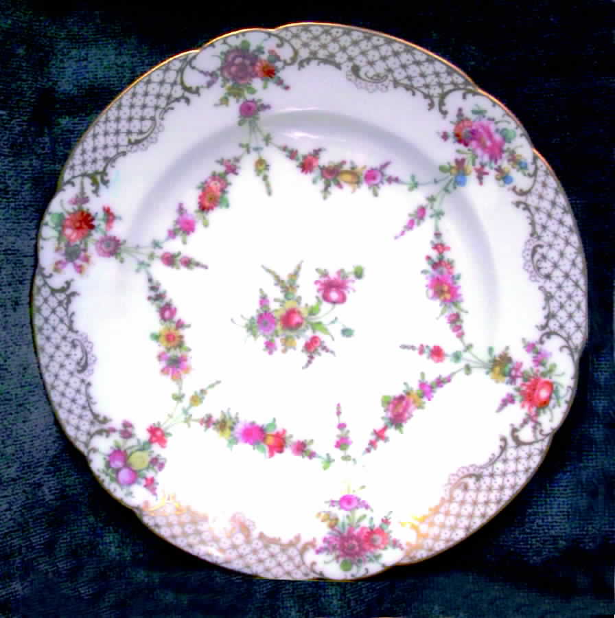 DRE50 Dinner Plate by Dresden (German)-1