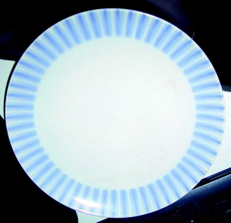 Jeannette Dinner Plate by Royal Copenhagen-1