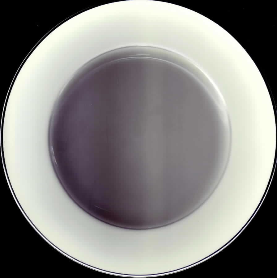 DSU2 Salad Plate by Dsc China-USA-1