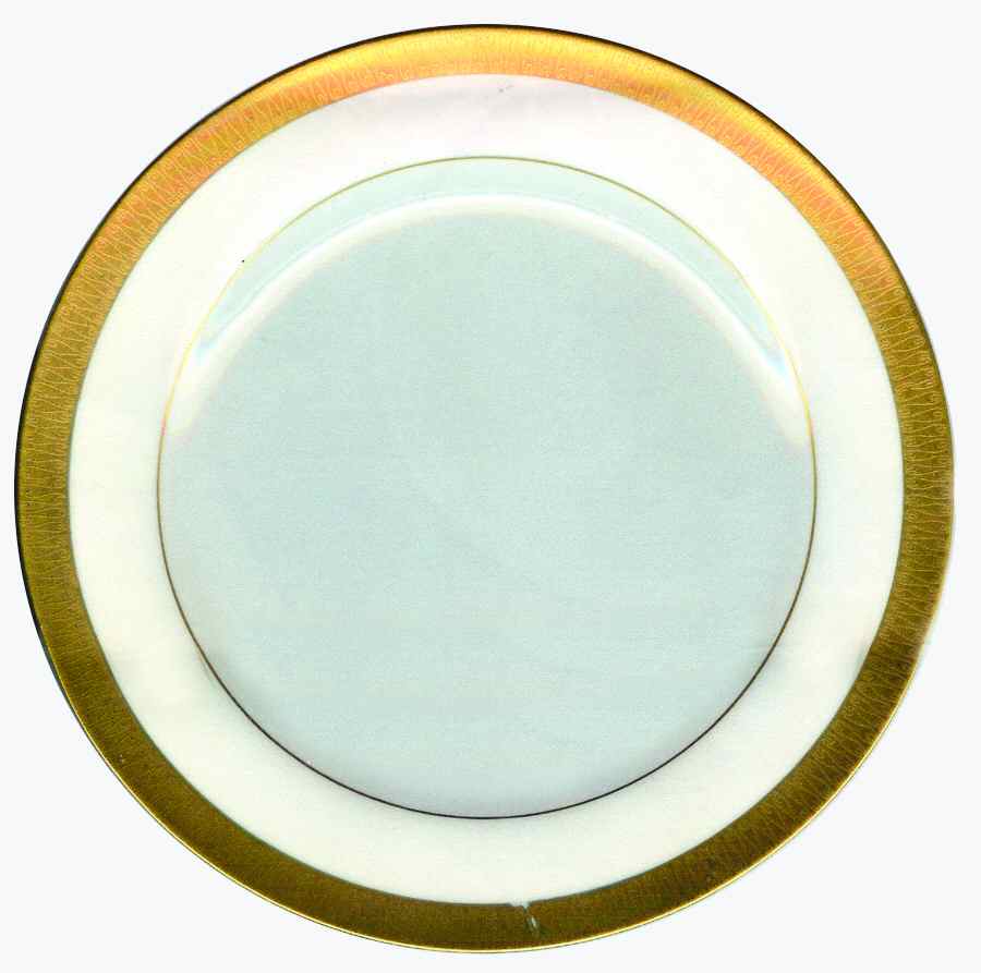 Elegance Dinner Plate by Dsc China-USA-1