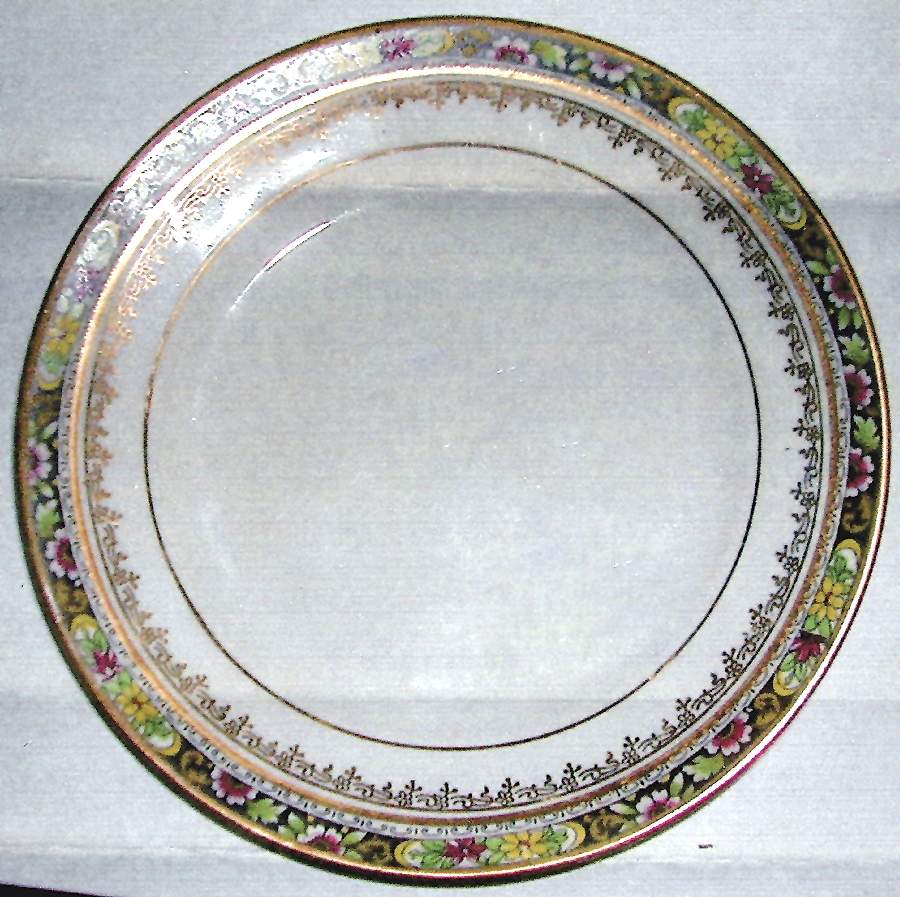 DRC22 Dinner Plate by Dresden (USA)-1