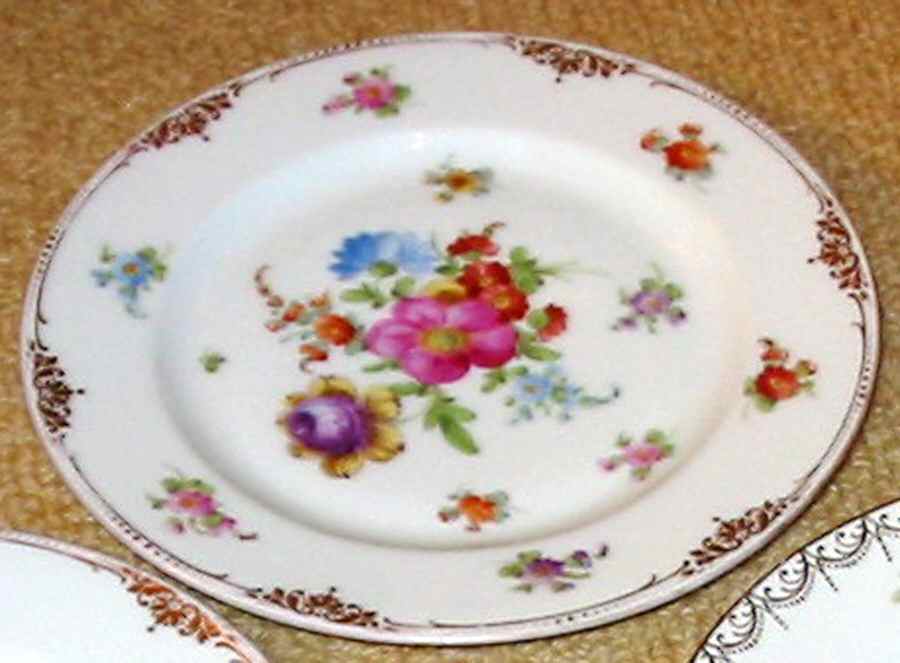 DRE65 Dinner Plate by Dresden (German)-1