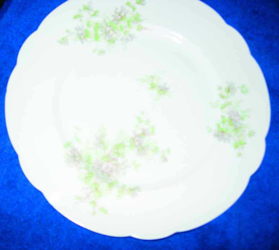 DEI101 Dinner Plate by Delinieres-1