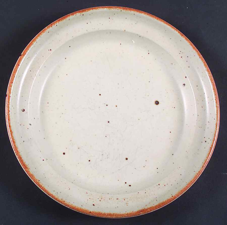 DAN120 (No Color on Verge) Dinner Plate by Dansk-1