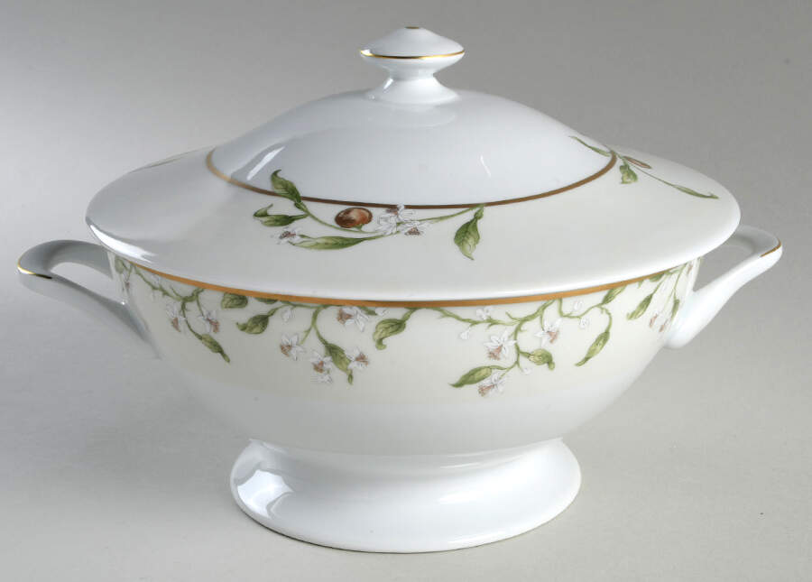 Orangeraie Tureen &  Lid by Philippe Deshoulieres-1