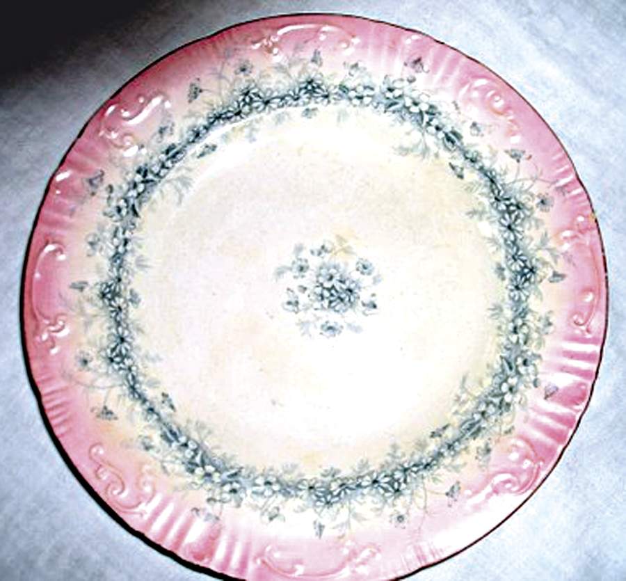 Daisy Dinner Plate by J Dimmock-1
