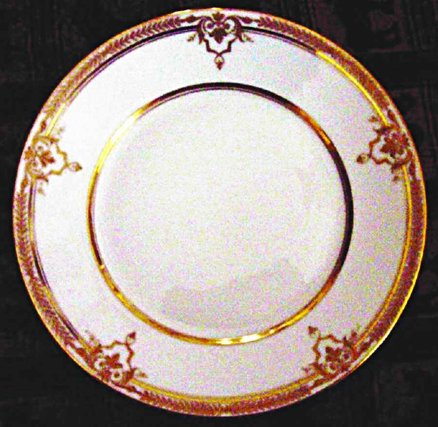 DRE73 Dinner Plate by Dresden (German)-1