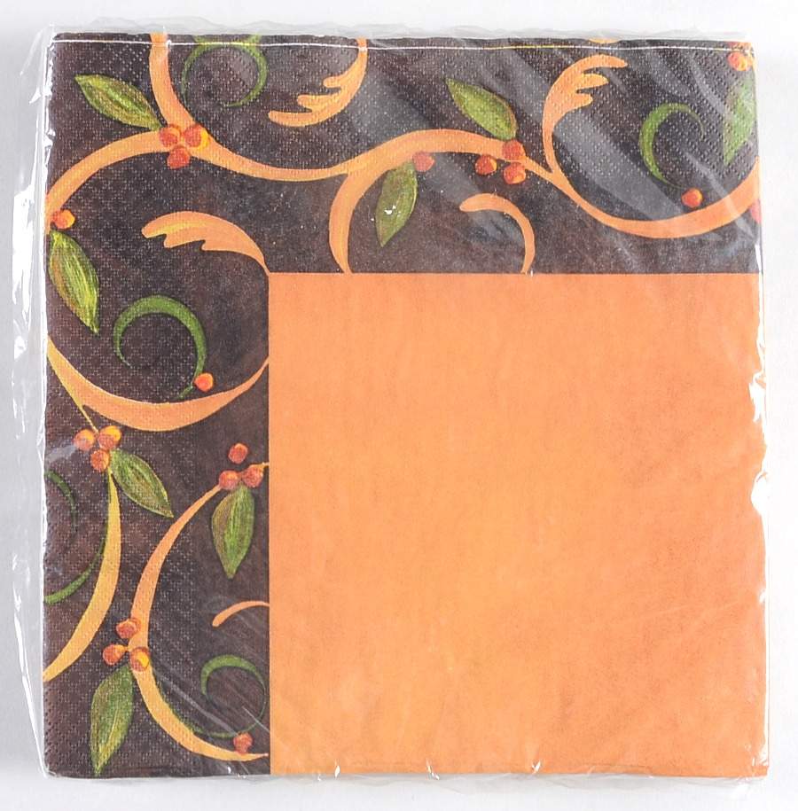 Chocolate Berries Package of Paper Luncheon Napkins by Demdaco-1