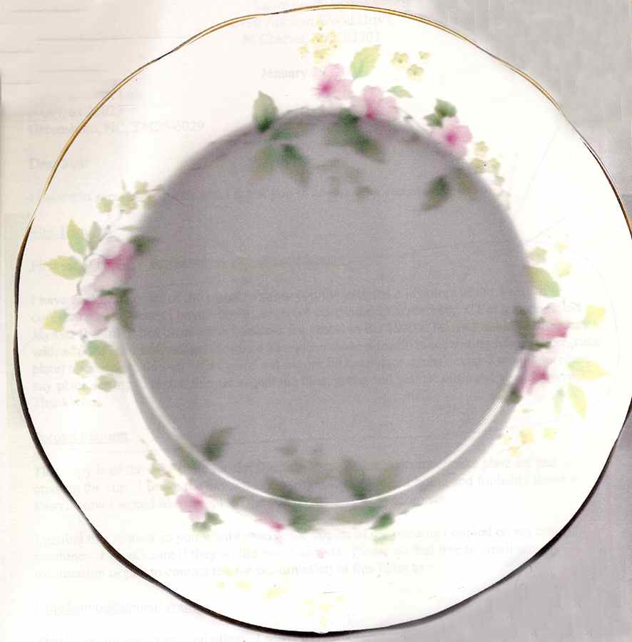 DUC45 Salad Plate by Duchess-1