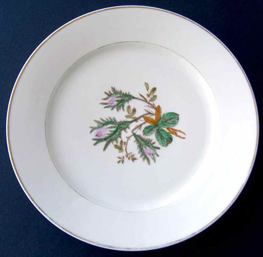 DEI109 Dinner Plate by Delinieres-1