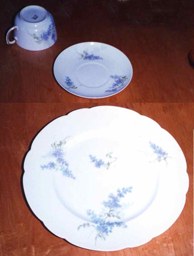 DEI114 Dinner Plate by Delinieres-1