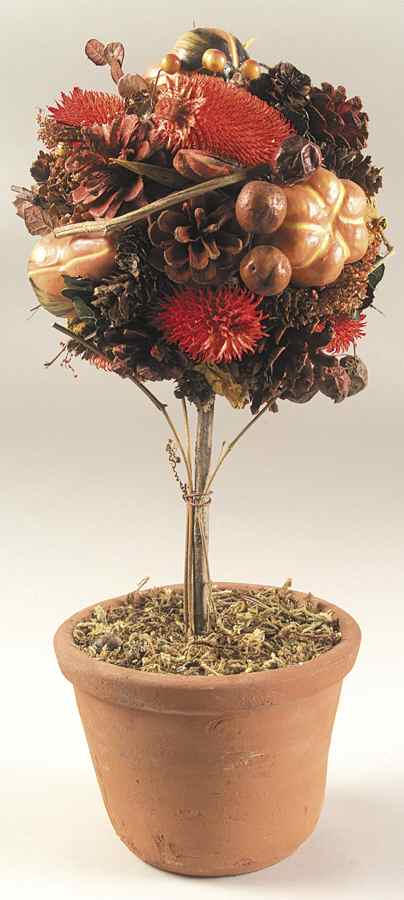 Orchard Collection (Giftware) Dried Gourd Wreath Topiary by Department 56-1