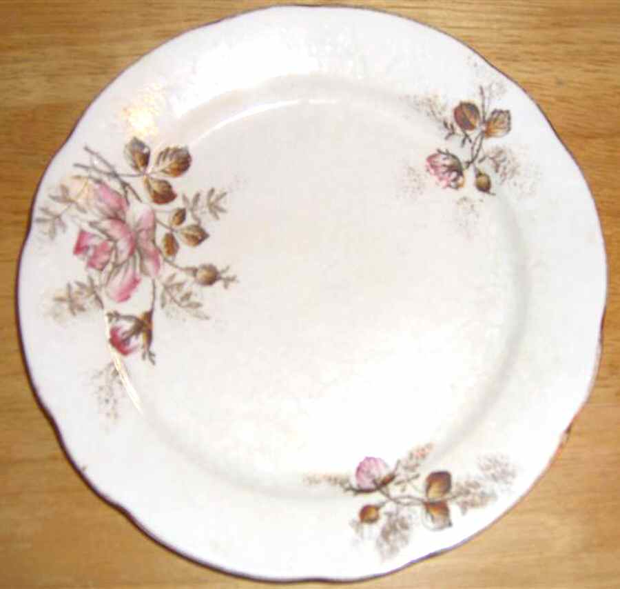 DRC27 Dinner Plate by Dresden (USA)-1