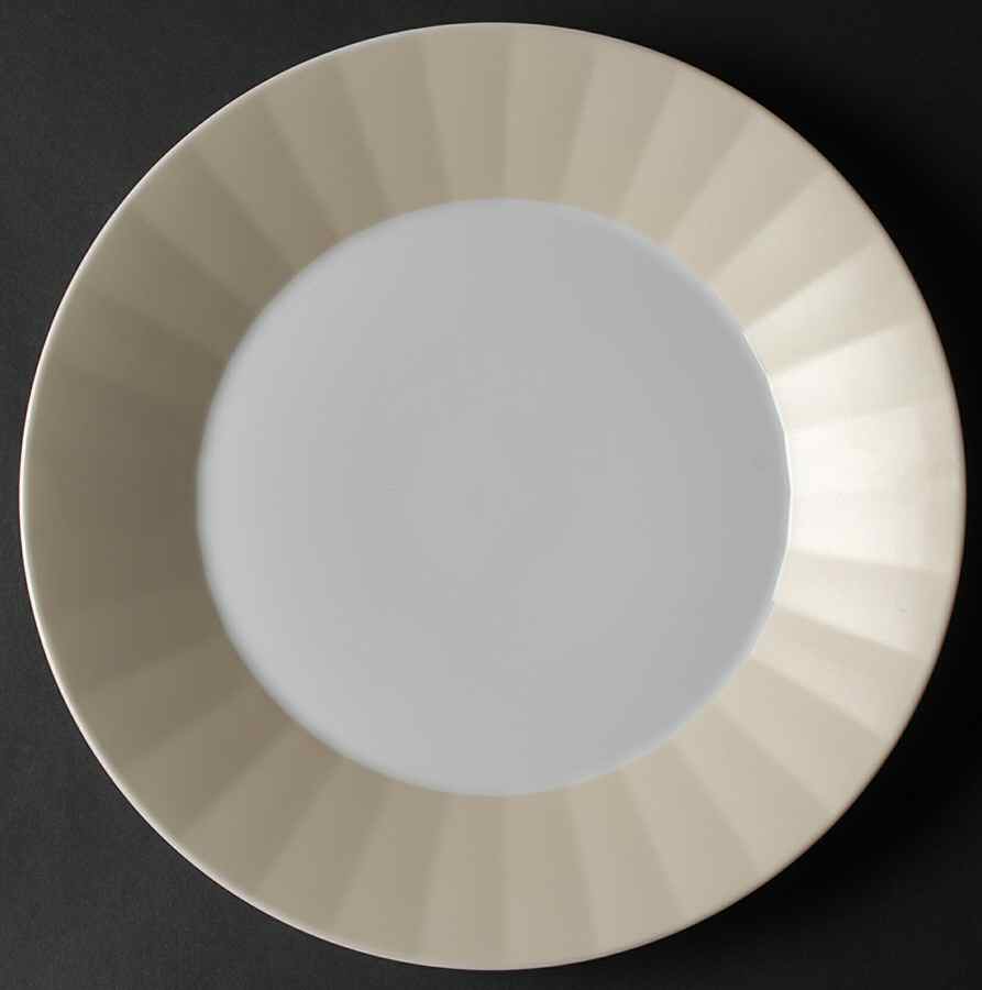 Metria Champagne Dinner Plate by Dansk-1