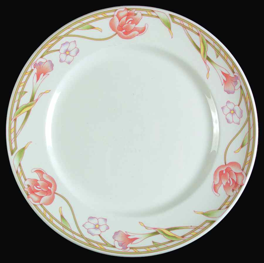 DUD12 Dinner Plate by Dudson-1