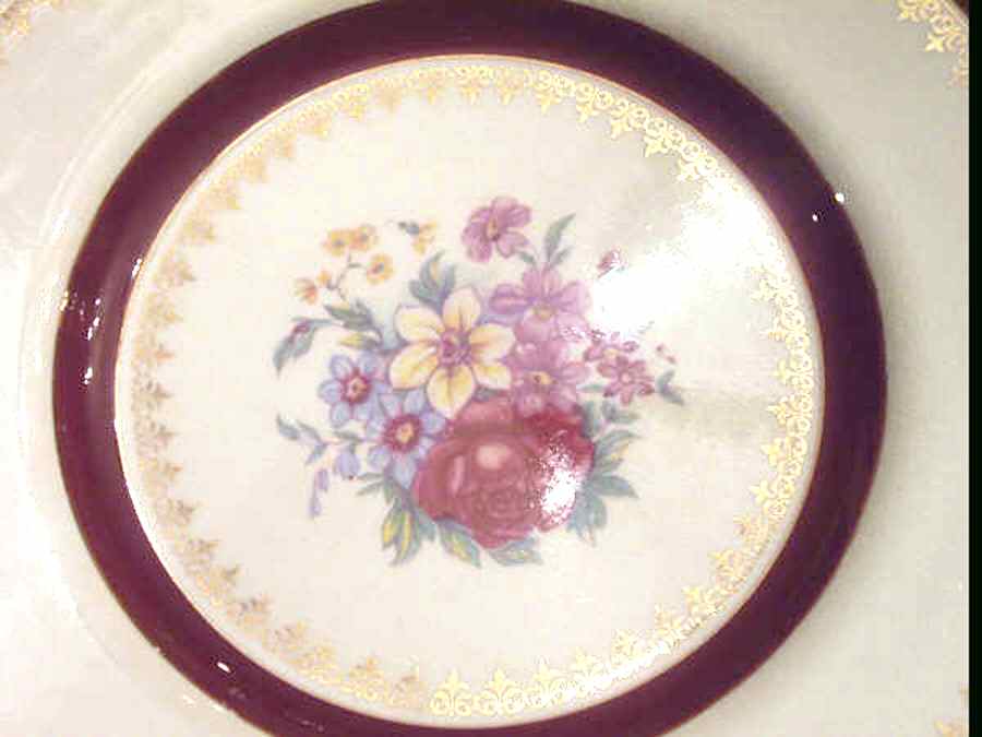 DAI1 Dinner Plate by Davison & Son-1