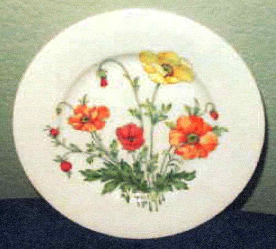 DUM1 Dessert/Pie Plate by Dumas-Limoges-1
