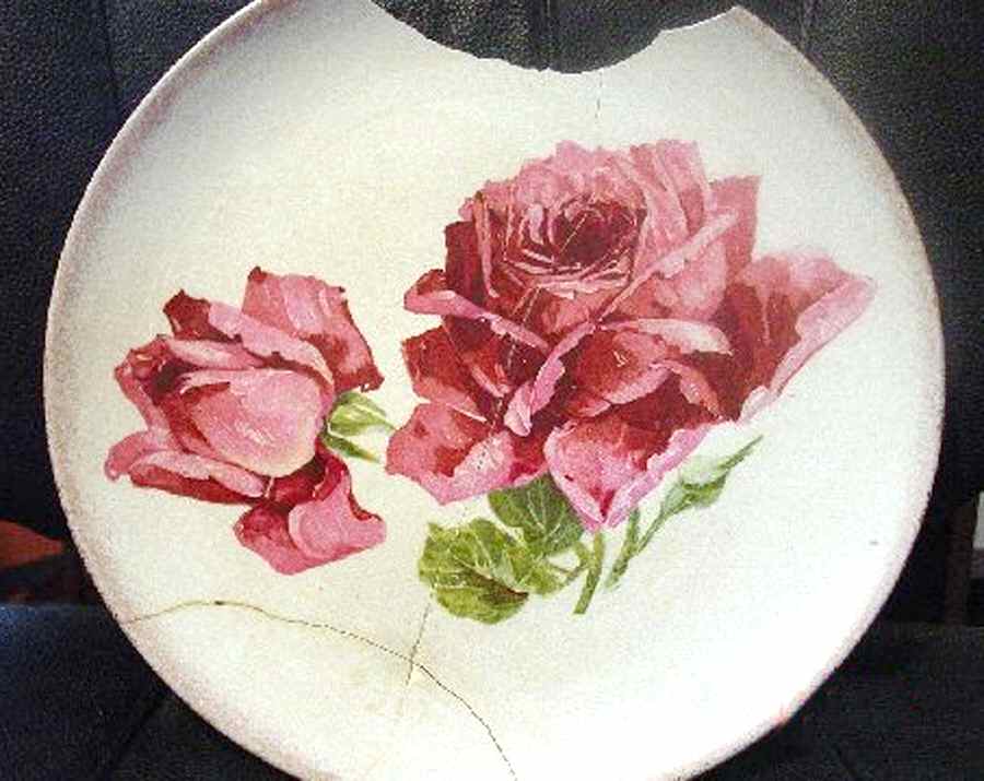 DRC39 Dinner Plate by Dresden (USA)-1