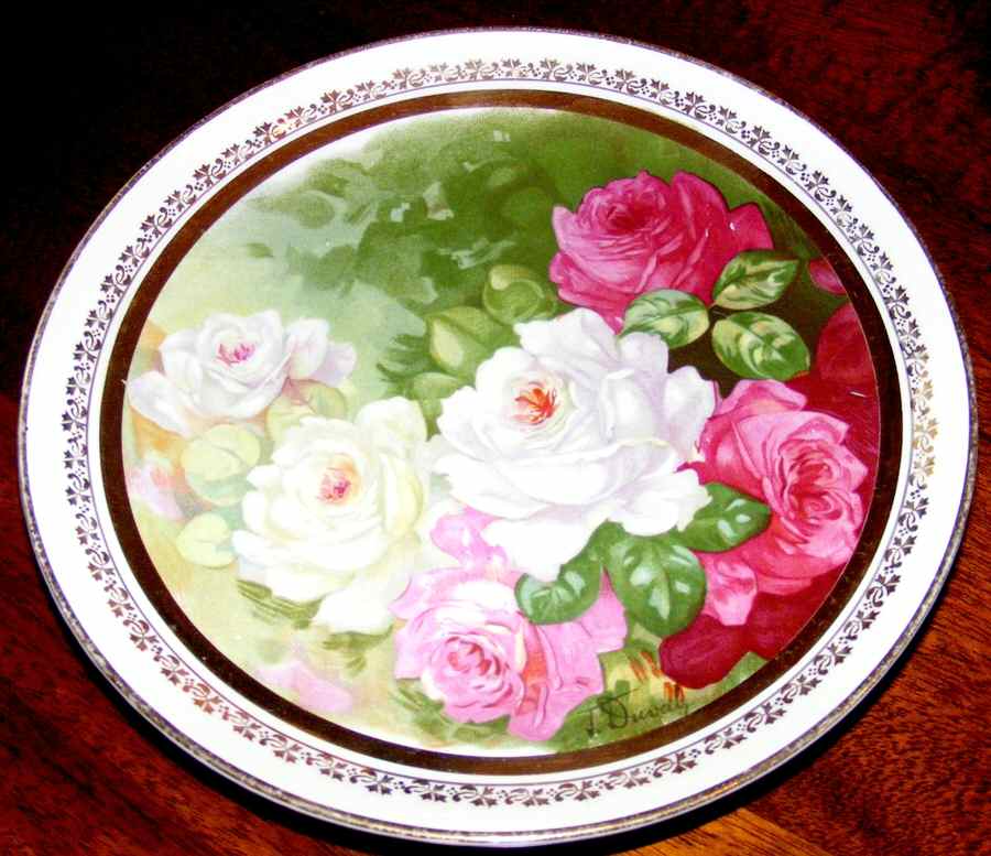 DRC40 Dinner Plate by Dresden (USA)-1