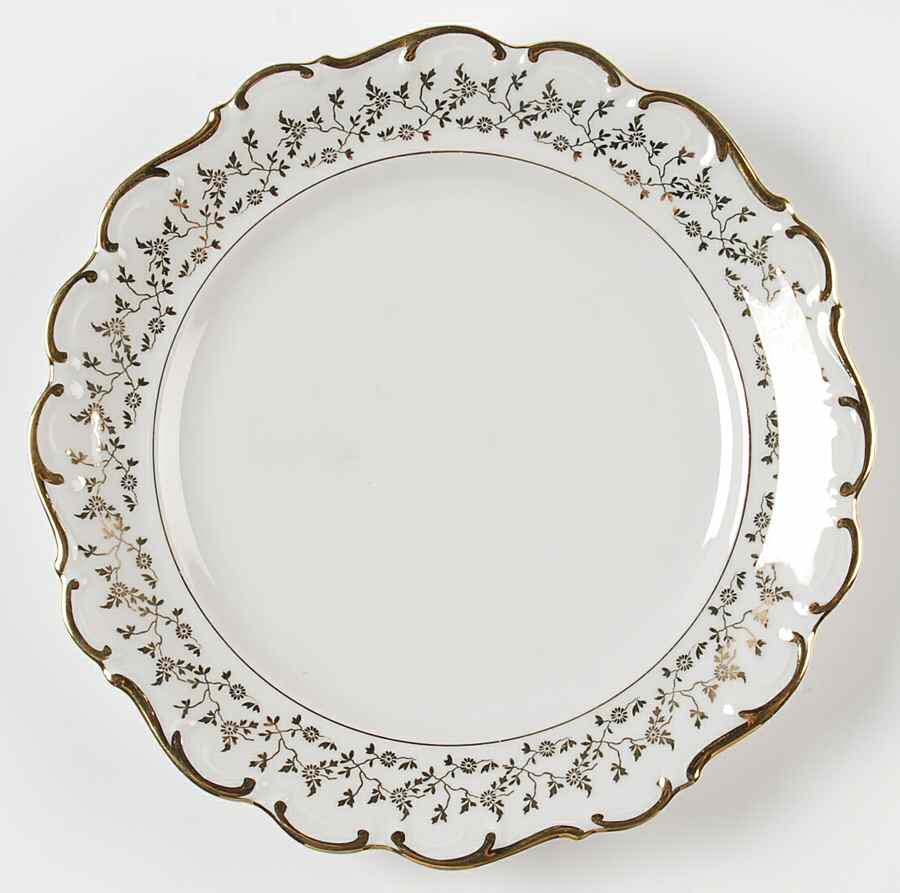 DRE104 Dinner Plate by Dresden (German)-1