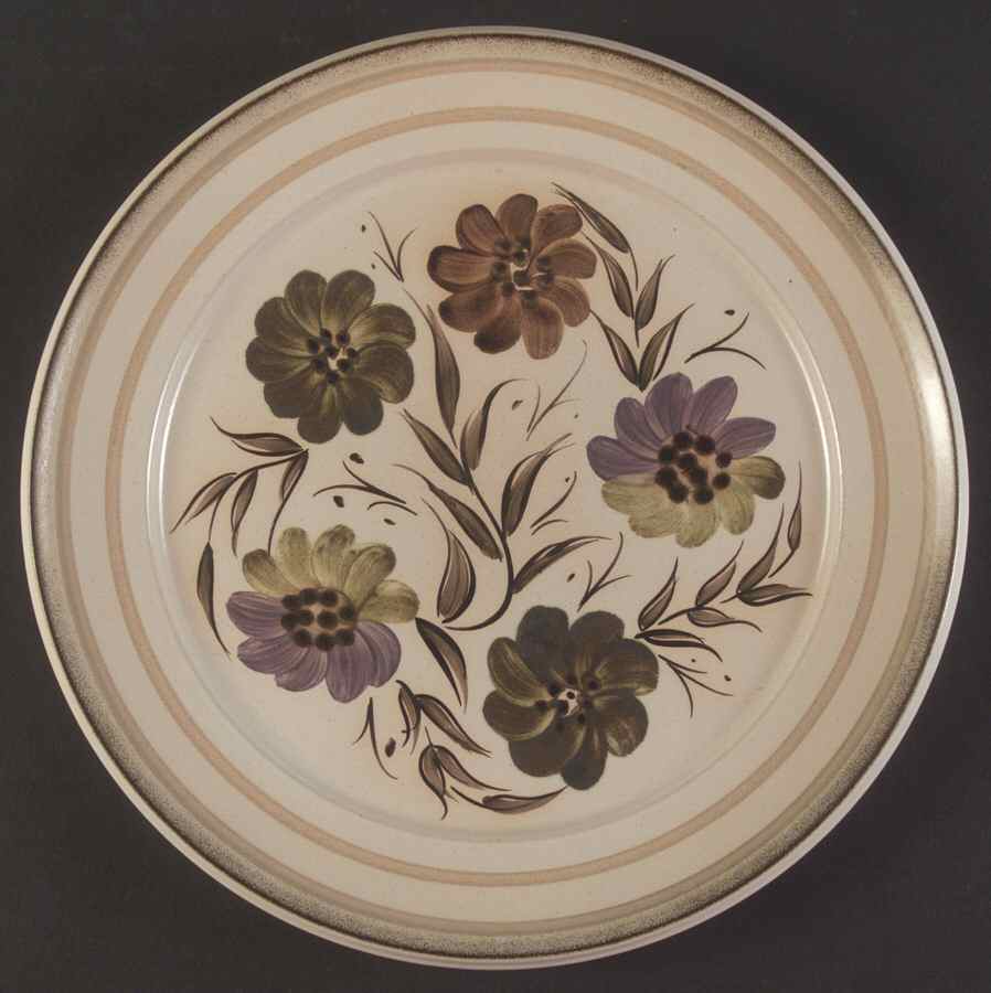 DEN30 Dinner Plate by Denby-Langley-1