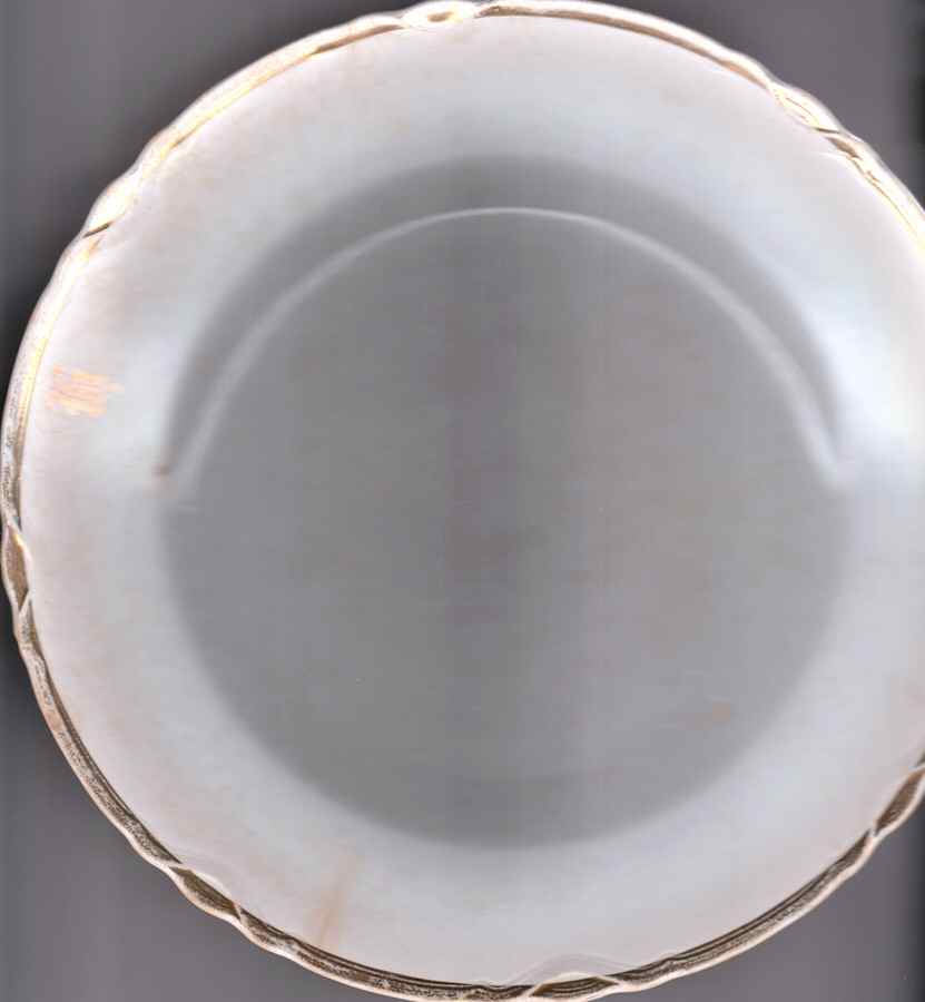 DRC41 Dinner Plate by Dresden (USA)-1