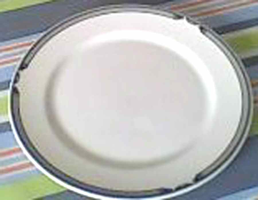 DUD13 Dinner Plate by Dudson-1