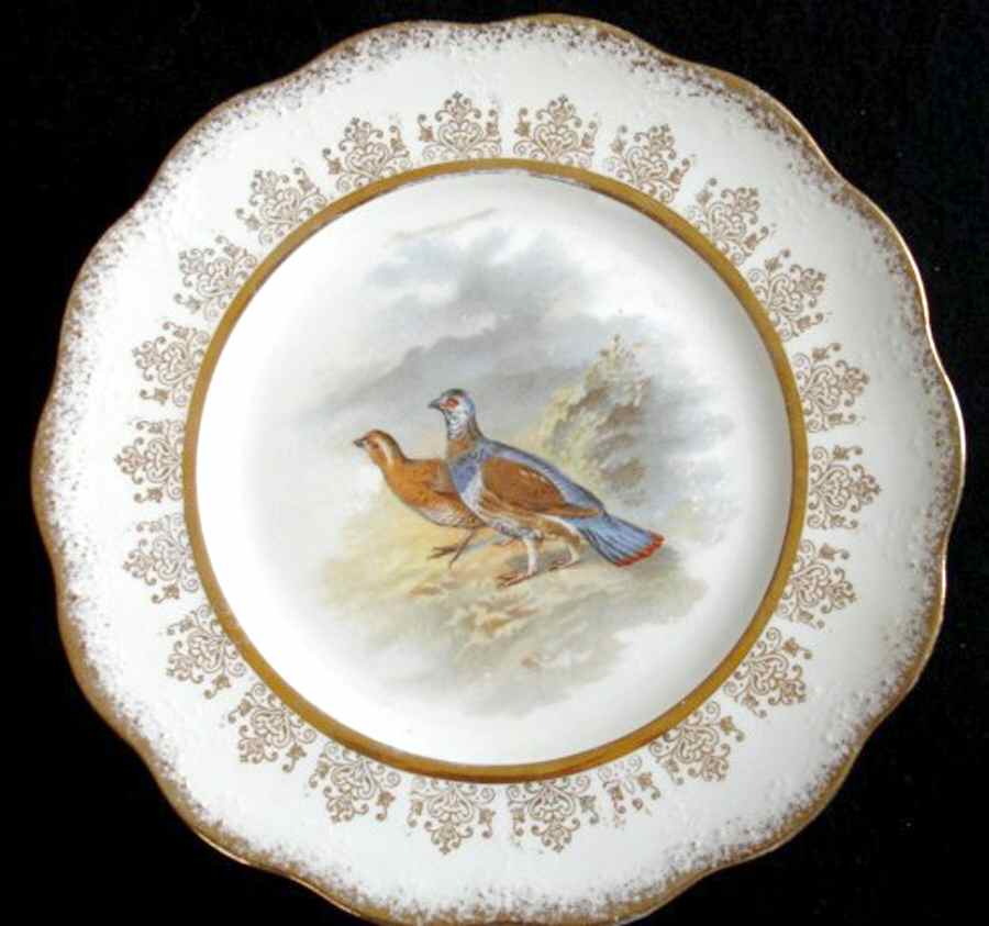 DRC42 Dinner Plate by Dresden (USA)-1