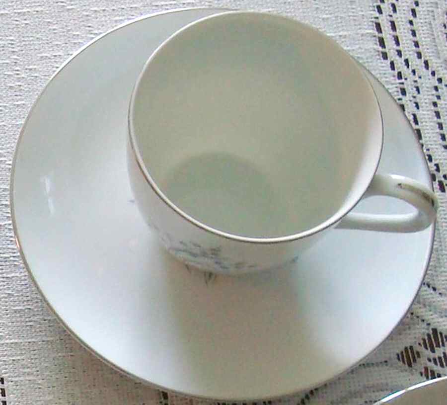 Silver Rhapsody Flat Cup & Saucer Set by Dolphin-1