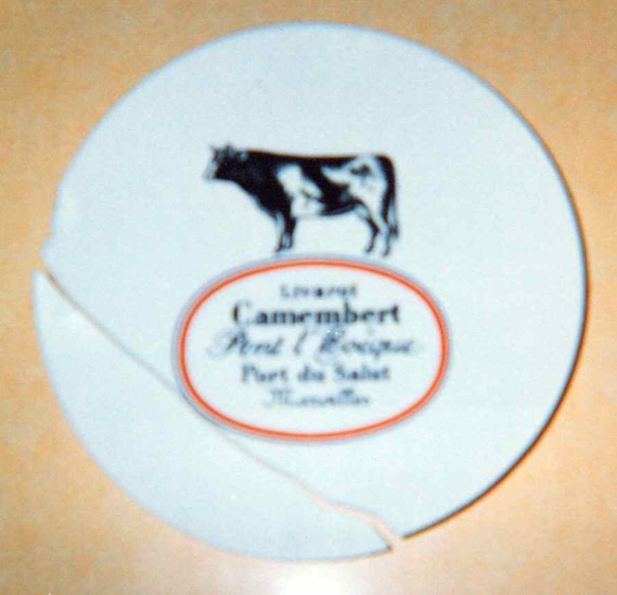 DEY5 Dinner Plate by Yves Deshoulieres-1