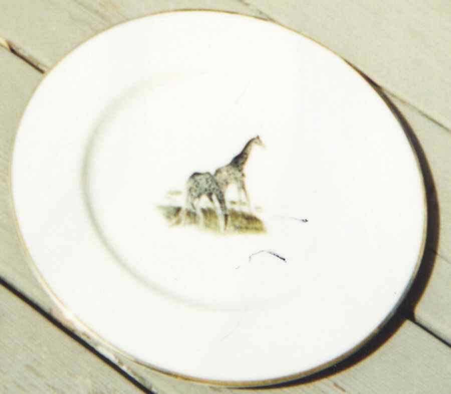 DTU13 Dinner Plate by Delano Studios-1