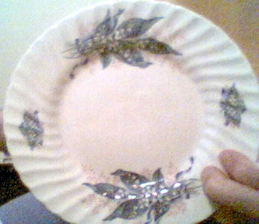 DAA3 Salad Plate by David Michael China-1