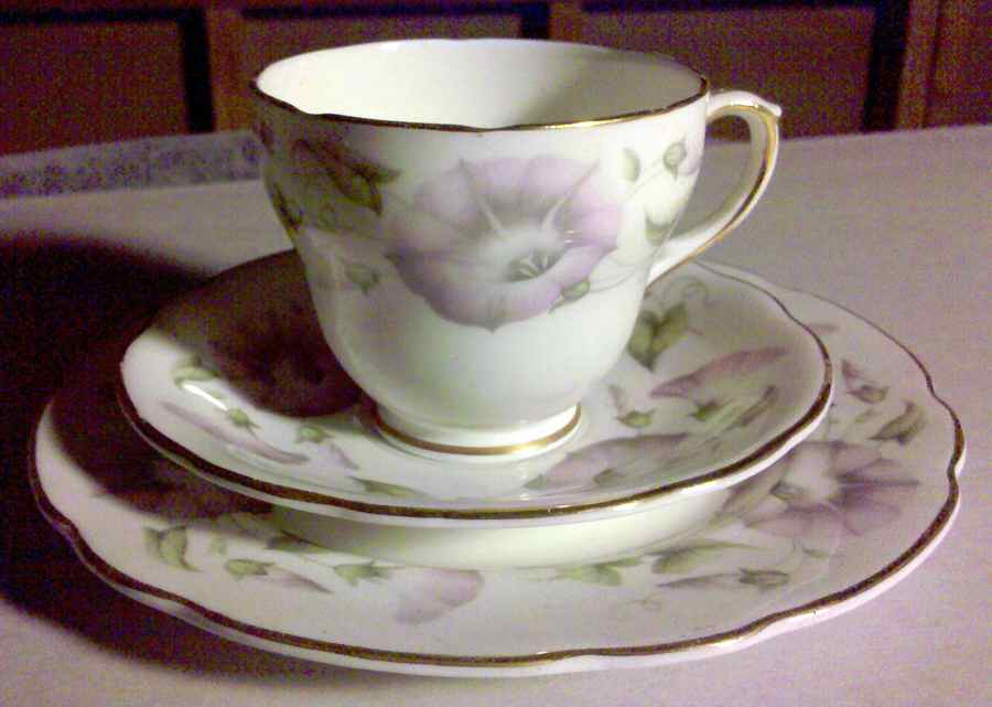 Morning Glory Footed Cup & Saucer Set by Duchess-1