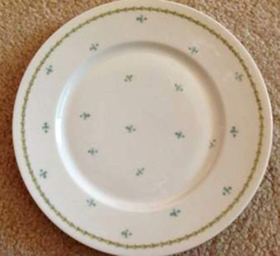 DMT52 Dinner Plate by G Demartine-1