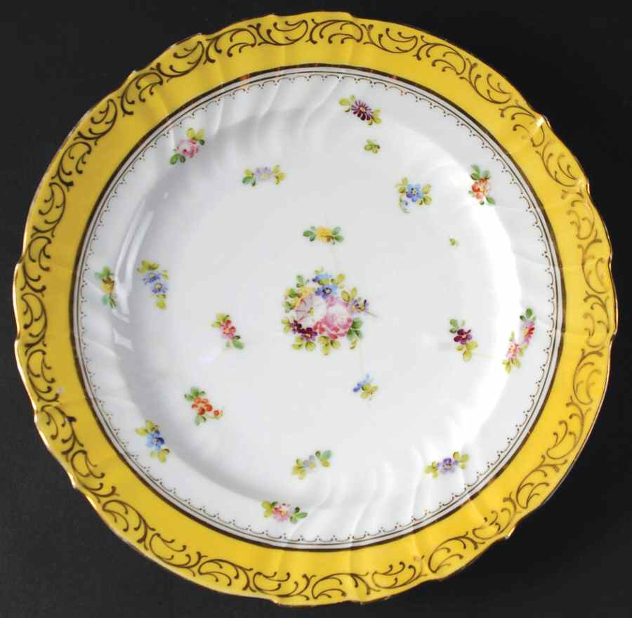 DRE118 Dinner Plate by Dresden (German)-1