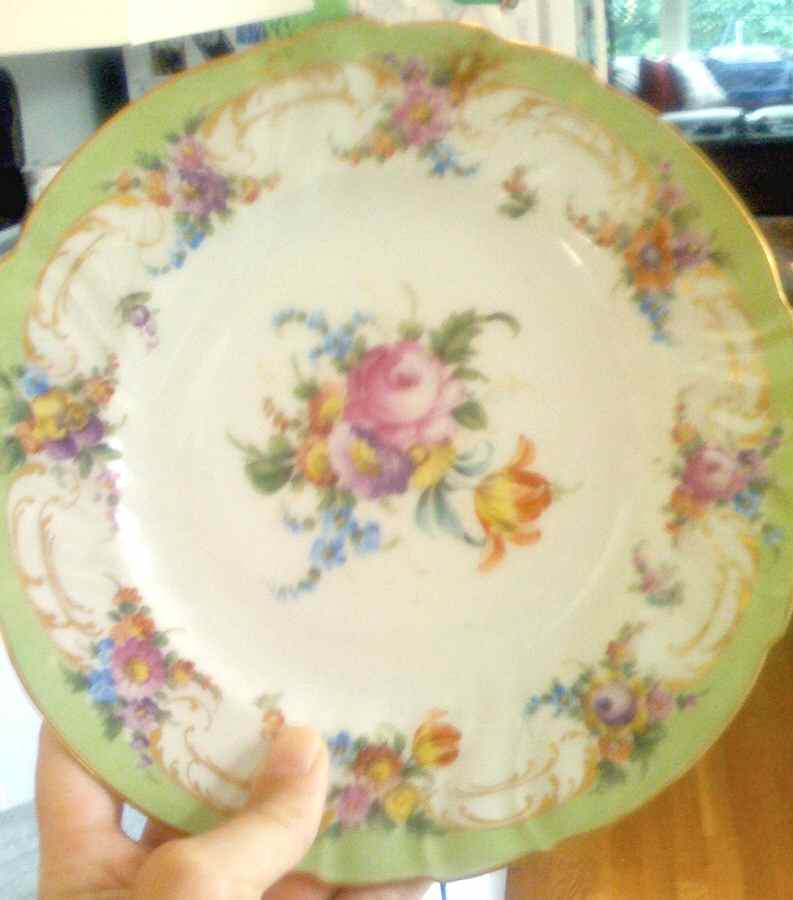 DRE119 Dinner Plate by Dresden (German)-1